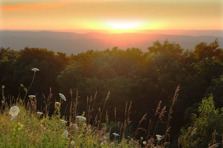 12 Best Hikes in Shenandoah National Park