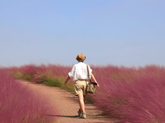 Experience the thrill of a lifetime with these daring adventure travel destinations