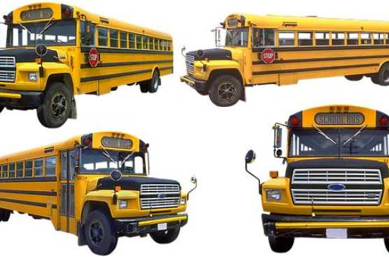 Bus Adventures: Discovering the Joy of Travel on Wheels!