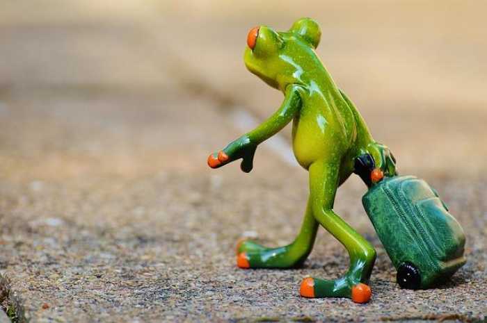 Epic Travel Trip: Adventures You Can’t Miss This Year!