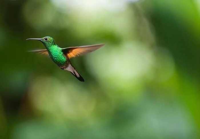 Flying Smart: Easy Travel Tips for Stress-Free Air Trips!